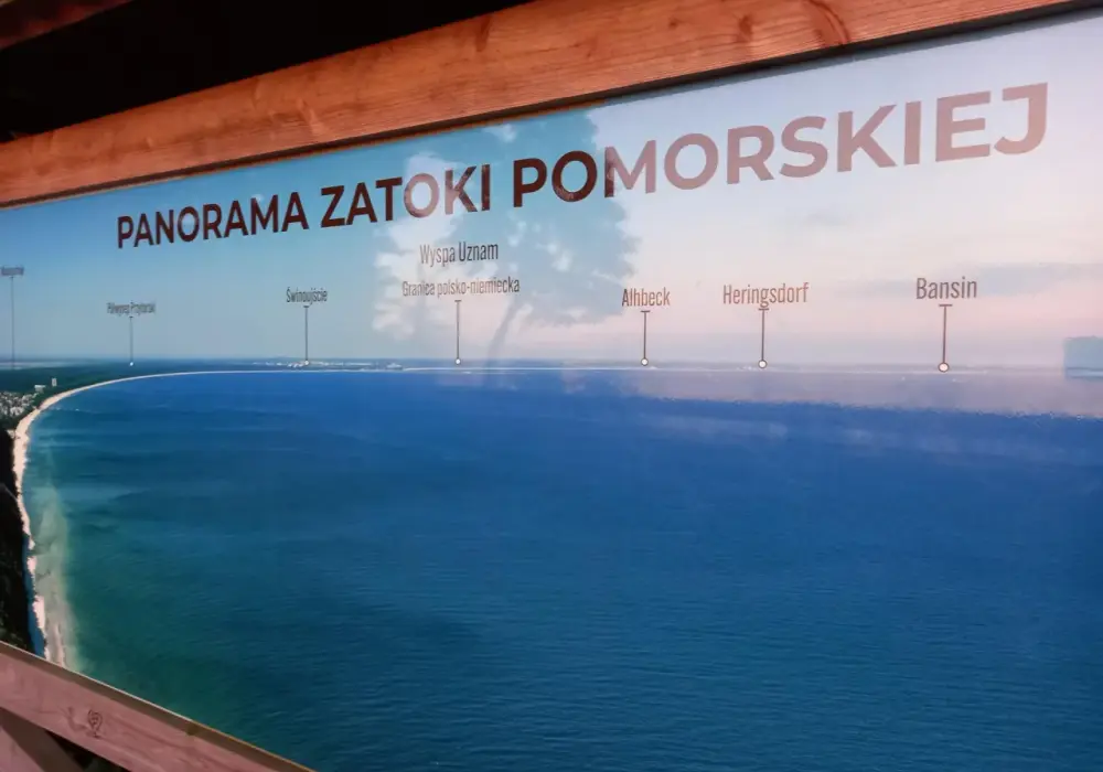 Nizina zatokowa - co sprawia, że ten region jest tak wyjątkowy?
