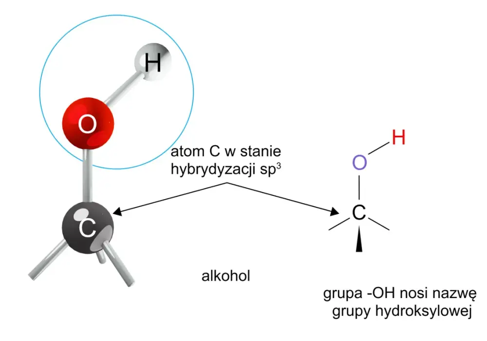 Alkohole monohydroksylowe - budowa, właściwości, reakcje