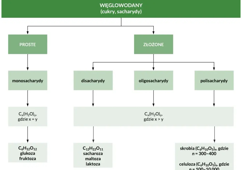 Cukry proste - co to, podział, przykłady i właściwości?