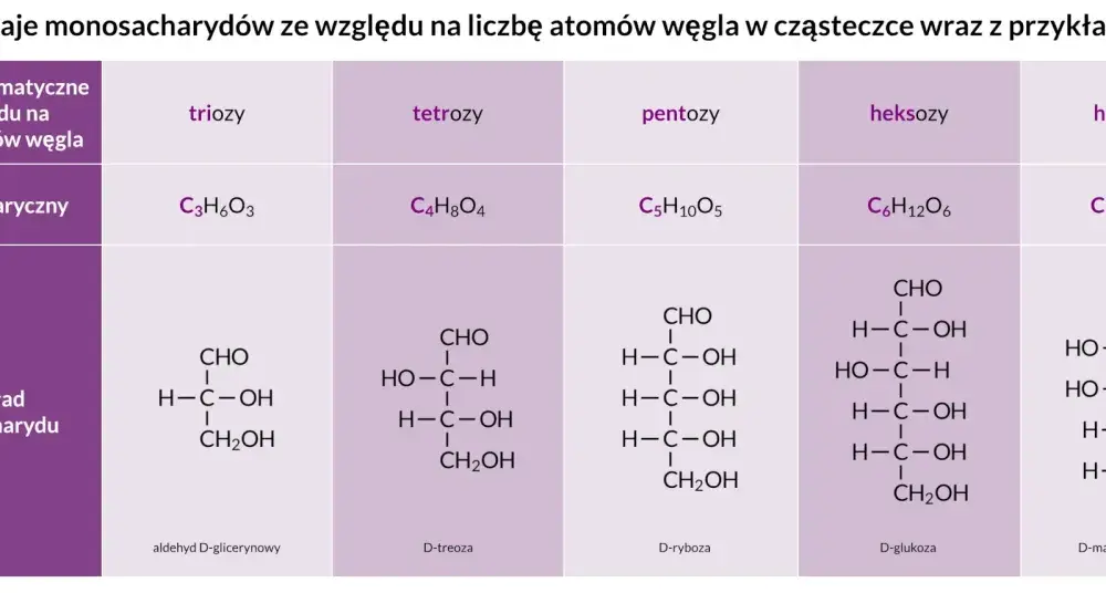 Monosacharydy - czym są i jak odróżnić je od cukrów złożonych?