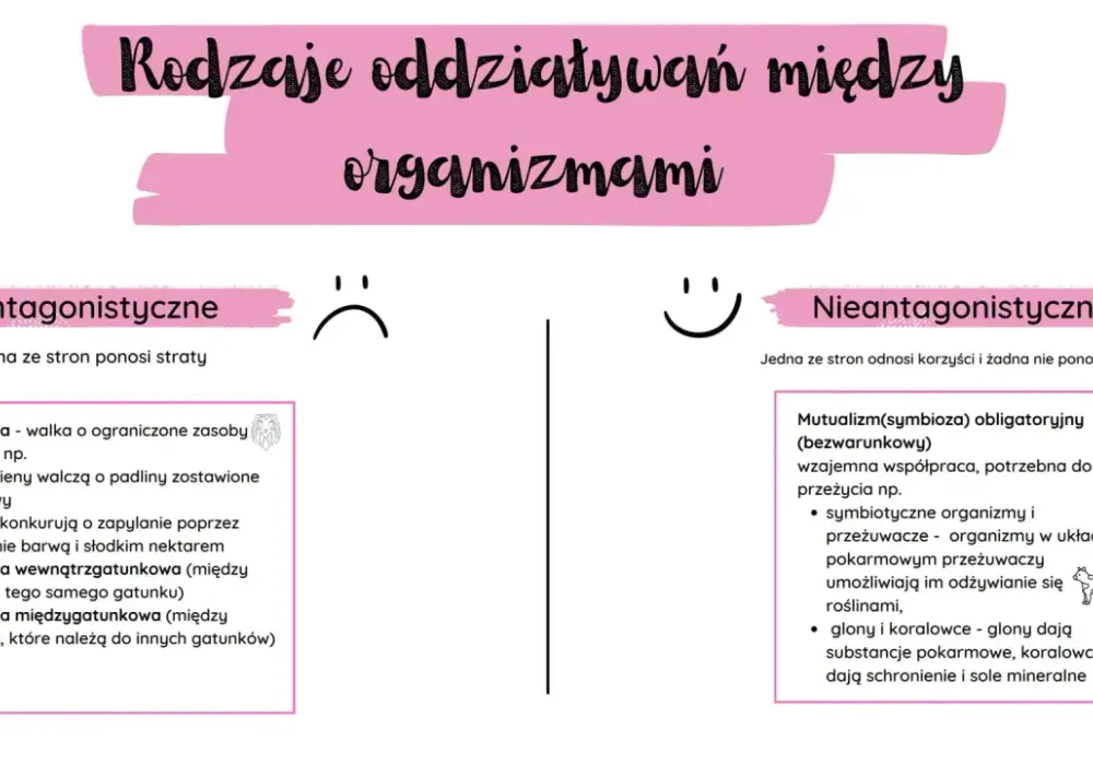 Symbioza w biologii - jak ją rozpoznać i odróżnić od innych relacji