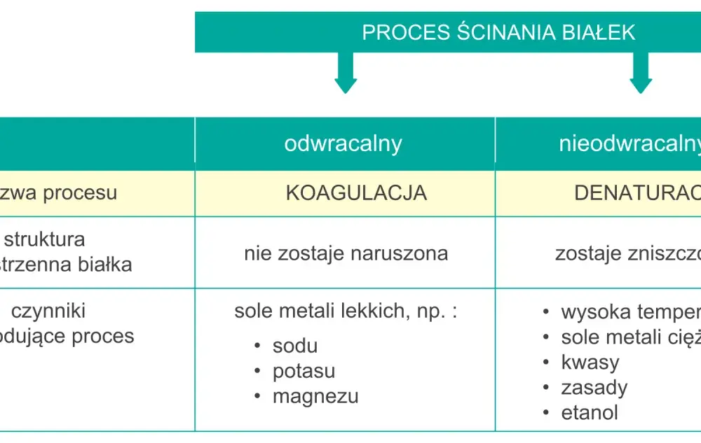 Koagulacja w chemii - na czym polega i od czego zależy?