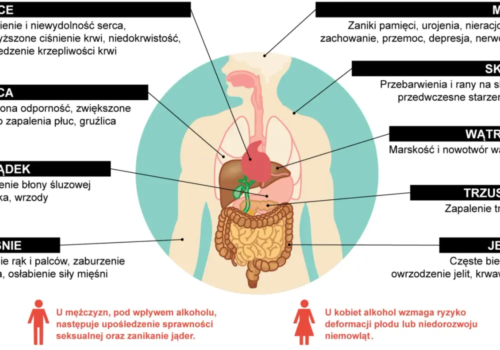 Substancje psychoaktywne - jak działają i jak rozumieć fakty?