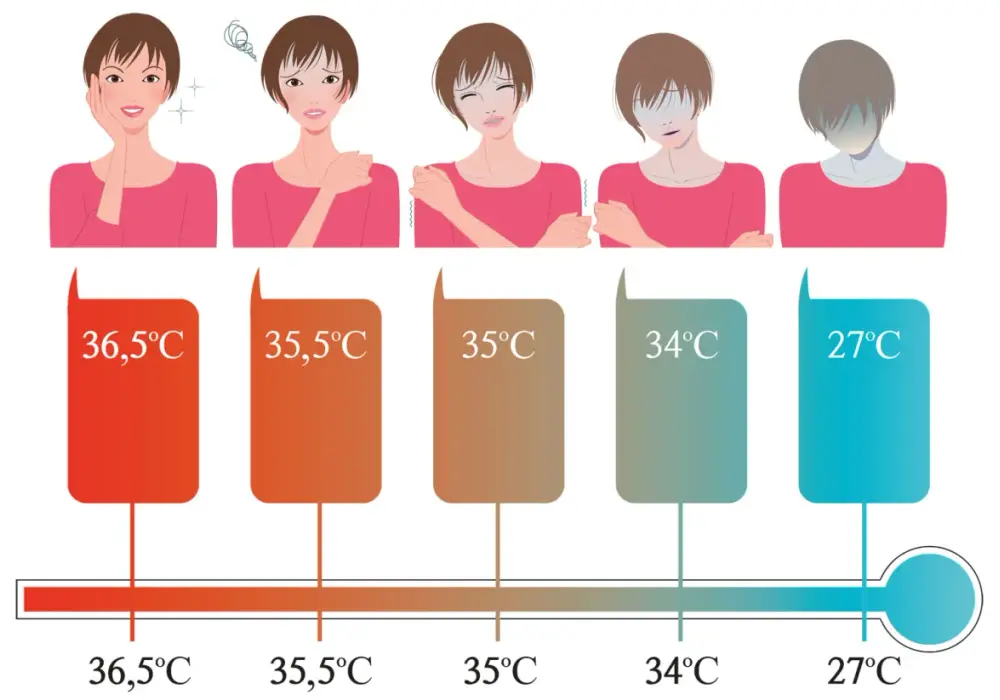 Temperatura ciała - jak organizm reguluje ciepło?
