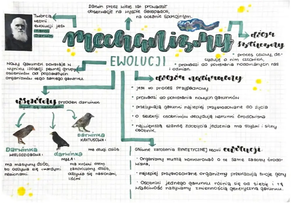 Teoria ewolucji - Jak to działa? Dobór naturalny i dowody