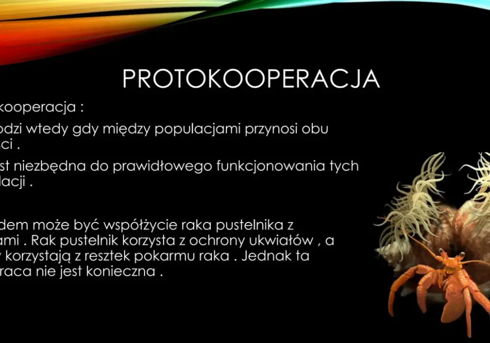 Protokooperacja - przykłady i różnice. Jak uniknąć błędów?