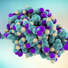 Model cząsteczki lizozymu, białka o złożonej strukturze kulistej, zbudowanego z atomów w kolorach fioletowym, turkusowym i kremowym.