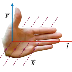 Dłoń ilustruje regułę prawej dłoni: kciuk to siła (F), palce to prąd (I), a pole magnetyczne (B) wchodzi w dłoń, pokazując **indukcję magnetyczną**.
