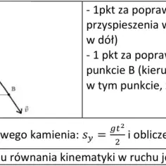 Wykres przedstawia tor lotu pocisku, z zaznaczonym wektorem przyspieszenia grawitacyjnego skierowanym w dół.