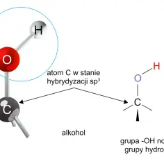 Schemat budowy cząsteczki alkoholu, pokazujący atom węgla w hybrydyzacji sp³ i grupę hydroksylową. Alkohole monohydroksylowe.