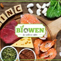 Zestaw produktów bogatych w cynk: mięso, łosoś, krewetki, ser, migdały, pestki dyni, szpinak, fasola, grzyby, czosnek i kakao.