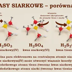 Porównanie kwasów siarkowych: H₂SO₃ (kwas siarkowy(IV)) z wolną parą elektronową, H₂SO₄ i H₂S₂O₃.