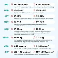 Tabela z normami parametrów krwi (RBC, HGB, HCT, MCV, MCH, MCHC, WBC, PLT), kluczowych dla utrzymania homeostazy organizmu.