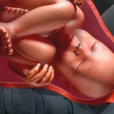 Dziecko w łonie matki, tuż przed narodzinami. Widać pępowinę i fragment łożyska (placenta co to jest?).