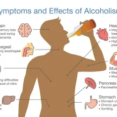 Ilustracja pokazuje wpływ alkoholu na organizm: mózg, serce, płuca, wątrobę, trzustkę, żołądek i mięśnie.