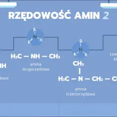 Schemat przedstawia rzędowość amin: pierwszorzędową (H3C-NH), drugorzędową (H3C-NH-CH3) i trzeciorzędową (H3C-N(CH3)-CH2-CH3).