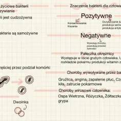 Diagram przedstawia życie i znaczenie drobnoustrojów. Dzieli je na pozytywne (kiszenie, produkcja antybiotyków) i negatywne (choroby).