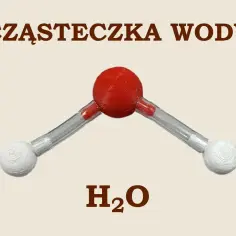 Model cząsteczki wody H₂O. Czerwona kula (tlen) połączona z dwiema białymi (wodór) tworzy kąt, co wpływa na kohezję wody.