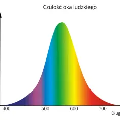 Wykres pokazuje, jak ludzkie oko reaguje na różne fale elektromagnetyczne. Największa czułość jest w zakresie zielonym (ok. 550 nm), a maleje dla fal krótszych (niebieski) i dłuższych (czerwony).