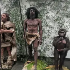 Trzech przodków człowieka: neandertalczyk z włócznią, ciemnoskóry bohater z włócznią i małpa trzymająca jagody.