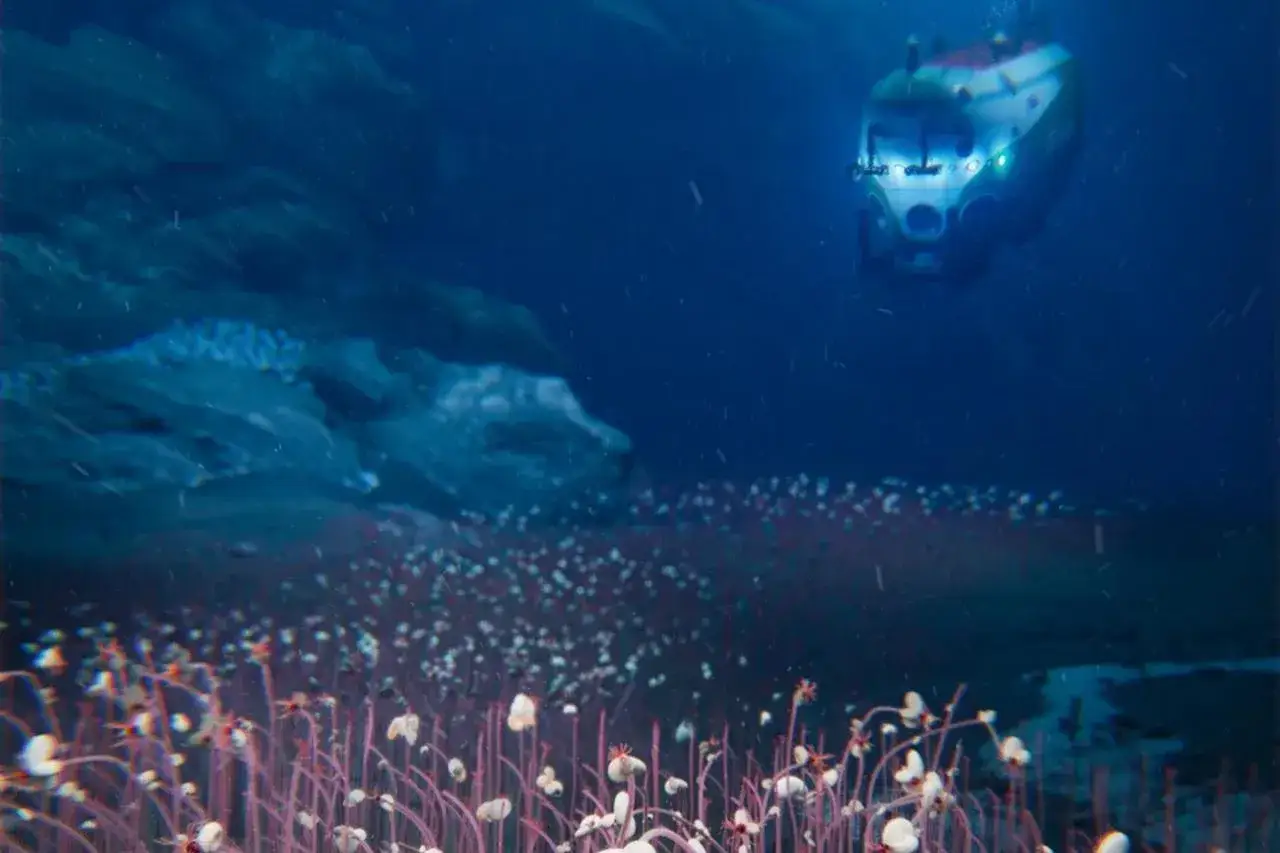 Podwodny pojazd bada dno oceanu, gdzie kwitnie życie oparte na chemosyntezie.
