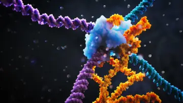Interakcja białka z DNA, kluczowy proces w genetyce molekularnej.