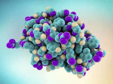 Model cząsteczki lizozymu, białka o złożonej strukturze kulistej, zbudowanego z atomów w kolorach fioletowym, turkusowym i kremowym.