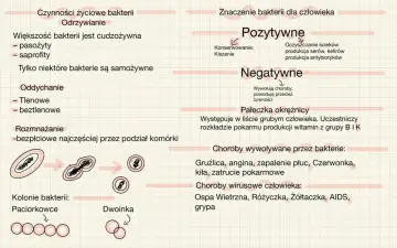 Diagram przedstawia życie i znaczenie drobnoustrojów. Dzieli je na pozytywne (kiszenie, produkcja antybiotyków) i negatywne (choroby).