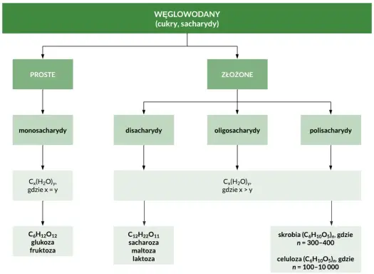 Oligosacharydy - czym są i gdzie występują?