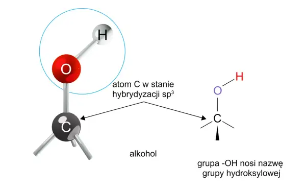 Alkohole monohydroksylowe - budowa, właściwości, reakcje