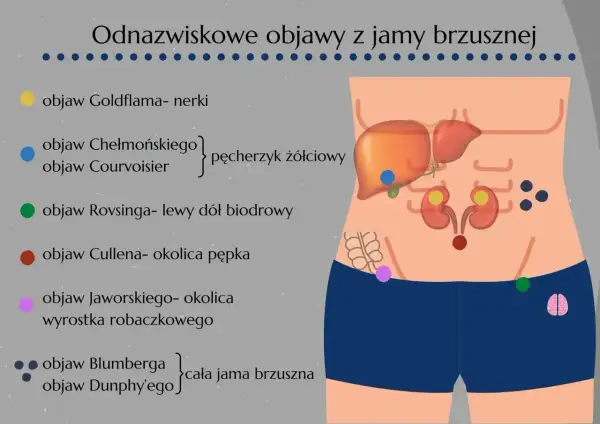 Otrzewna - budowa, funkcje i dlaczego jej zapalenie jest groźne