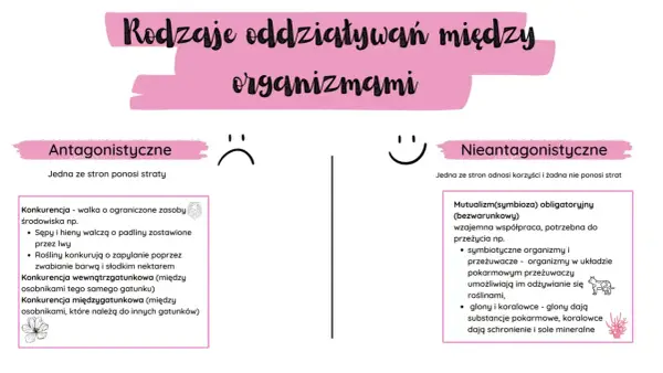 Symbioza w biologii - jak ją rozpoznać i odróżnić od innych relacji
