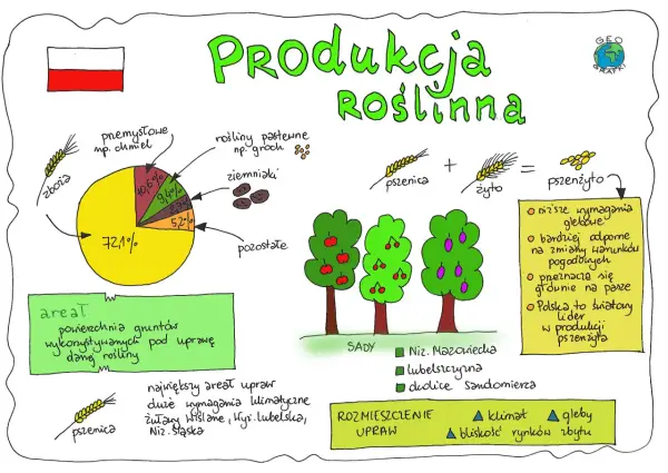 Farsa - definicja, cechy i jak jej mechanizm działa w przyrodzie?