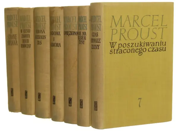 W poszukiwaniu straconego czasu - Kto napisał i o czym jest ten cykl?