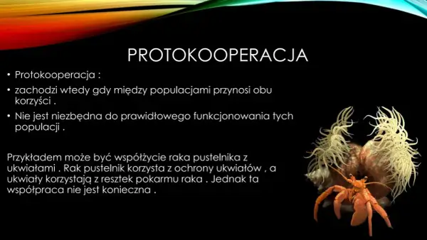 Protokooperacja - przykłady i różnice. Jak uniknąć błędów?