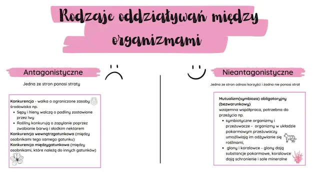 Symbioza to wzajemna współpraca organizmów, np. glonów i koralowców, gdzie obie strony odnoszą korzyści.