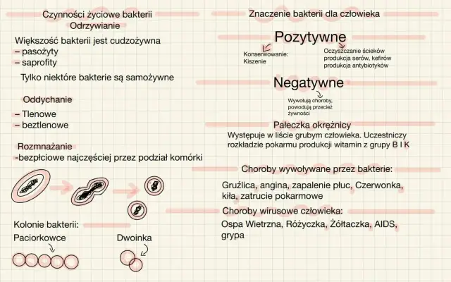 Diagram przedstawia życie i znaczenie drobnoustrojów. Dzieli je na pozytywne (kiszenie, produkcja antybiotyków) i negatywne (choroby).