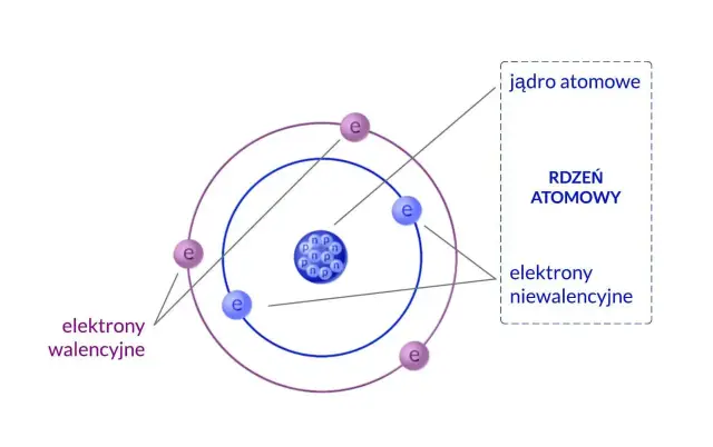 Model atomu z jądrem i elektronami. Masa elektronu jest znikoma w porównaniu do masy jądra.