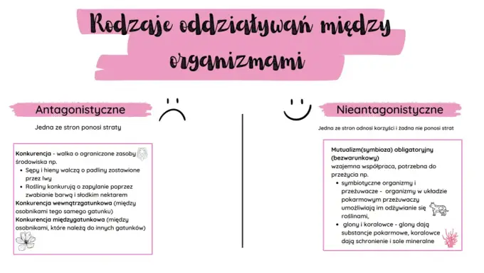 Symbioza w biologii - jak ją rozpoznać i odróżnić od innych relacji
