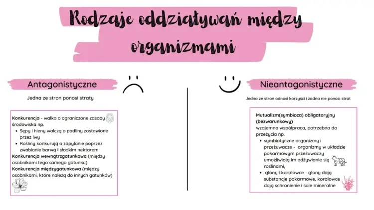 Symbioza w biologii - jak ją rozpoznać i odróżnić od innych relacji
