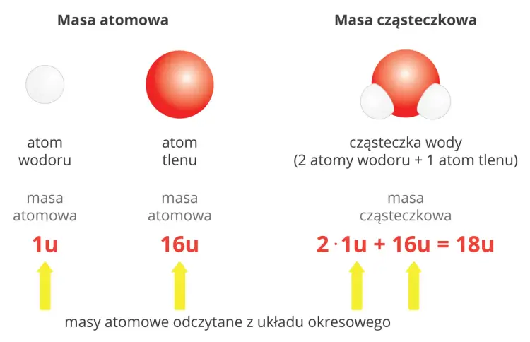 Masa cząsteczkowa krok po kroku - jak liczyć bez pomyłek